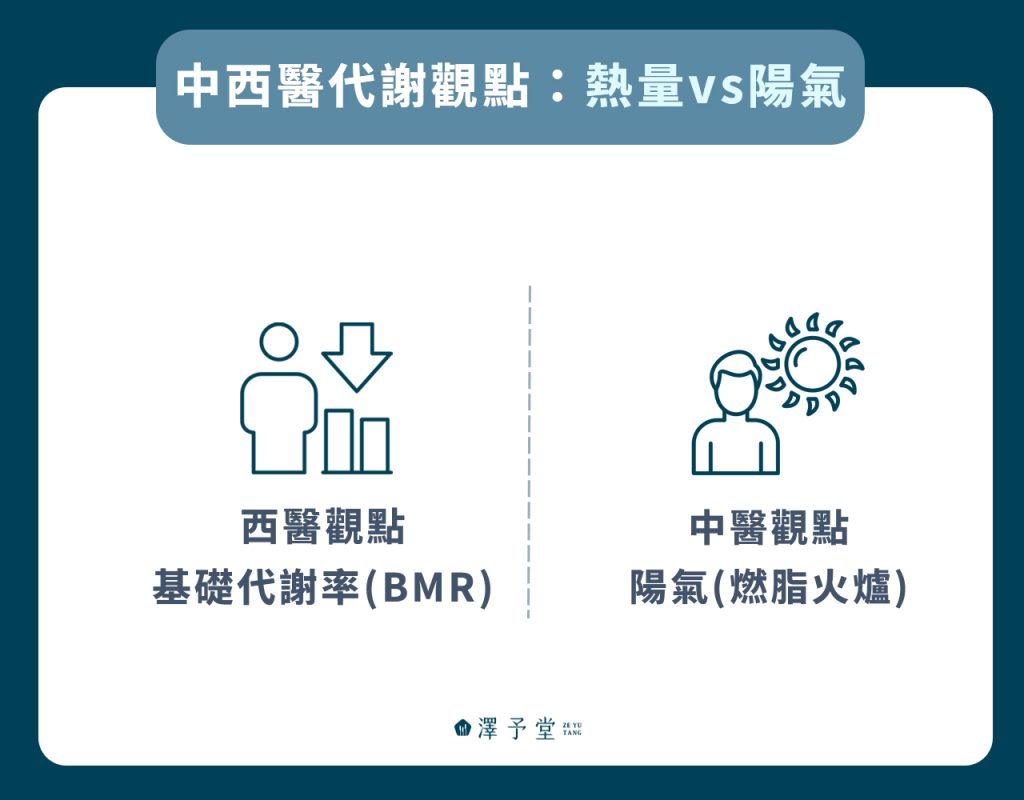 代謝不好如何改善