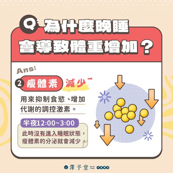睡眠影響減重因素2.瘦體素