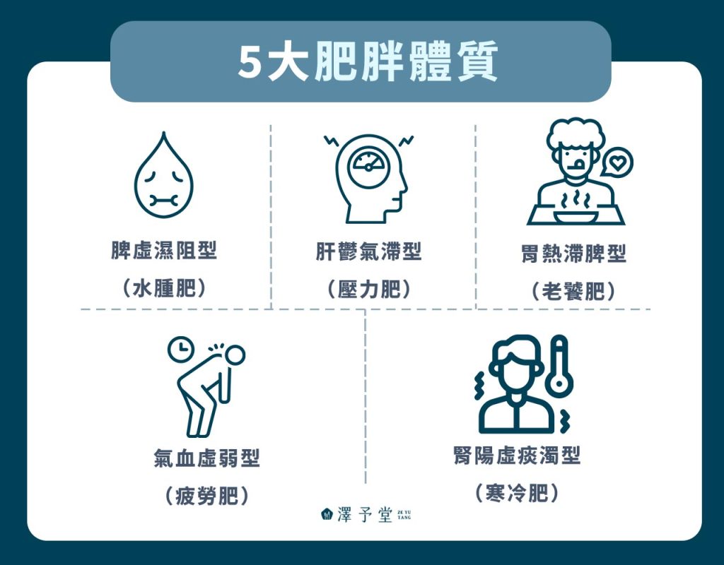 5 大肥胖體質